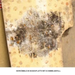 Herkömmlicher Fahrzeugboden mit Schimmelbefall